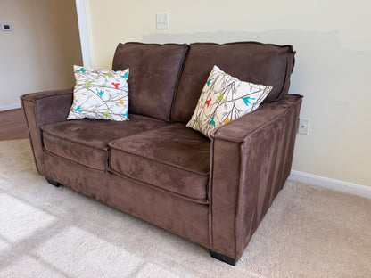 Loveseat & Pillows
