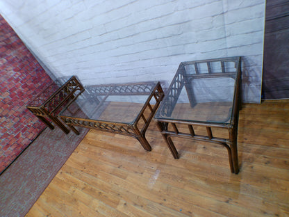 Rattan Coffee Table & End Tables