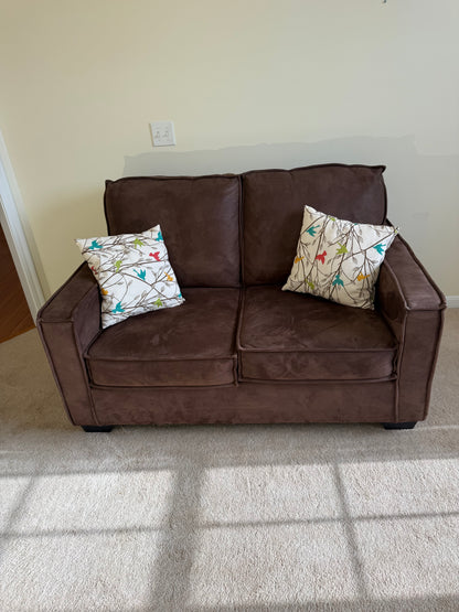 Loveseat & Pillows