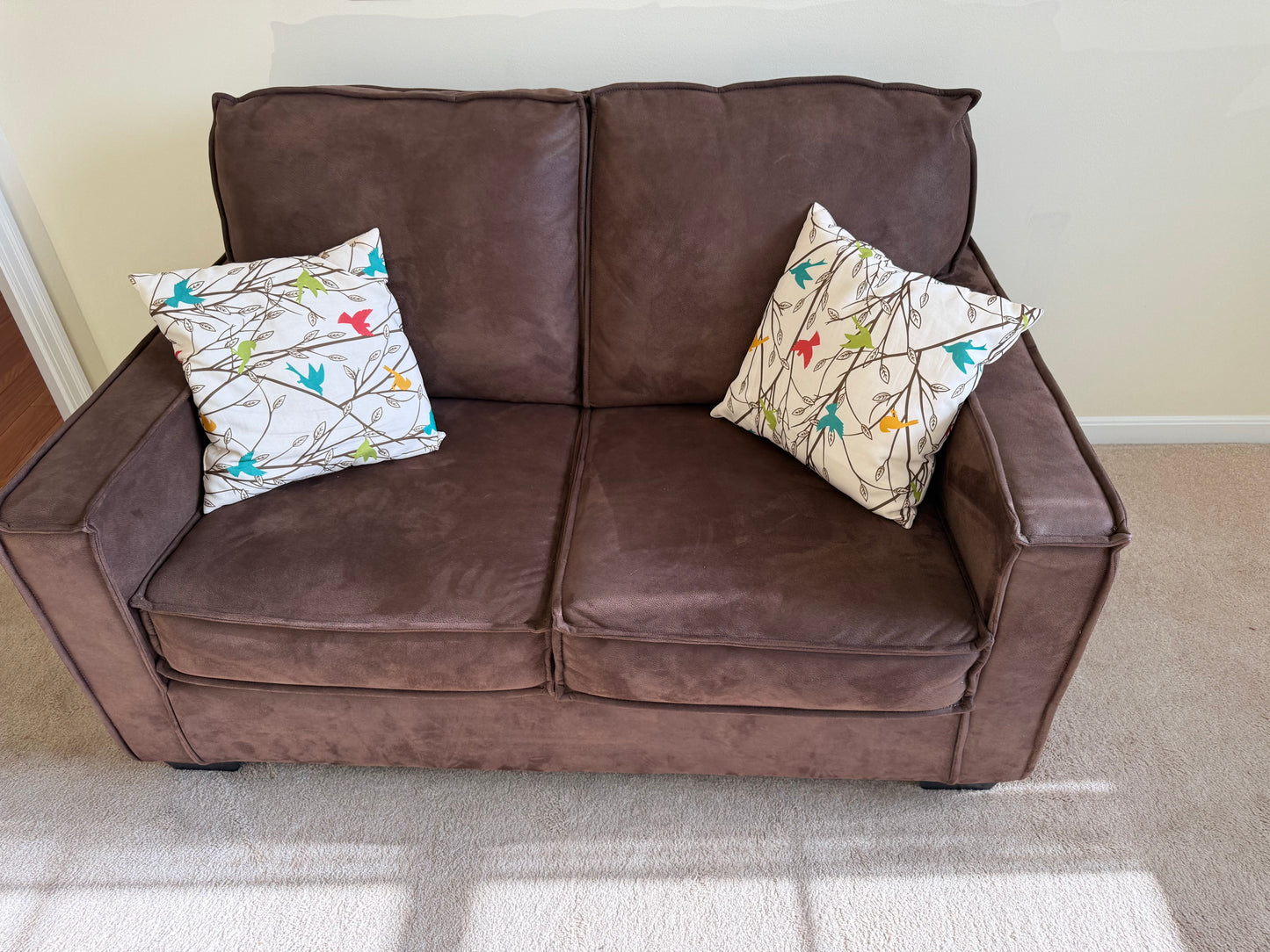 Loveseat & Pillows