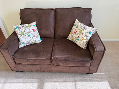 Loveseat & Pillows