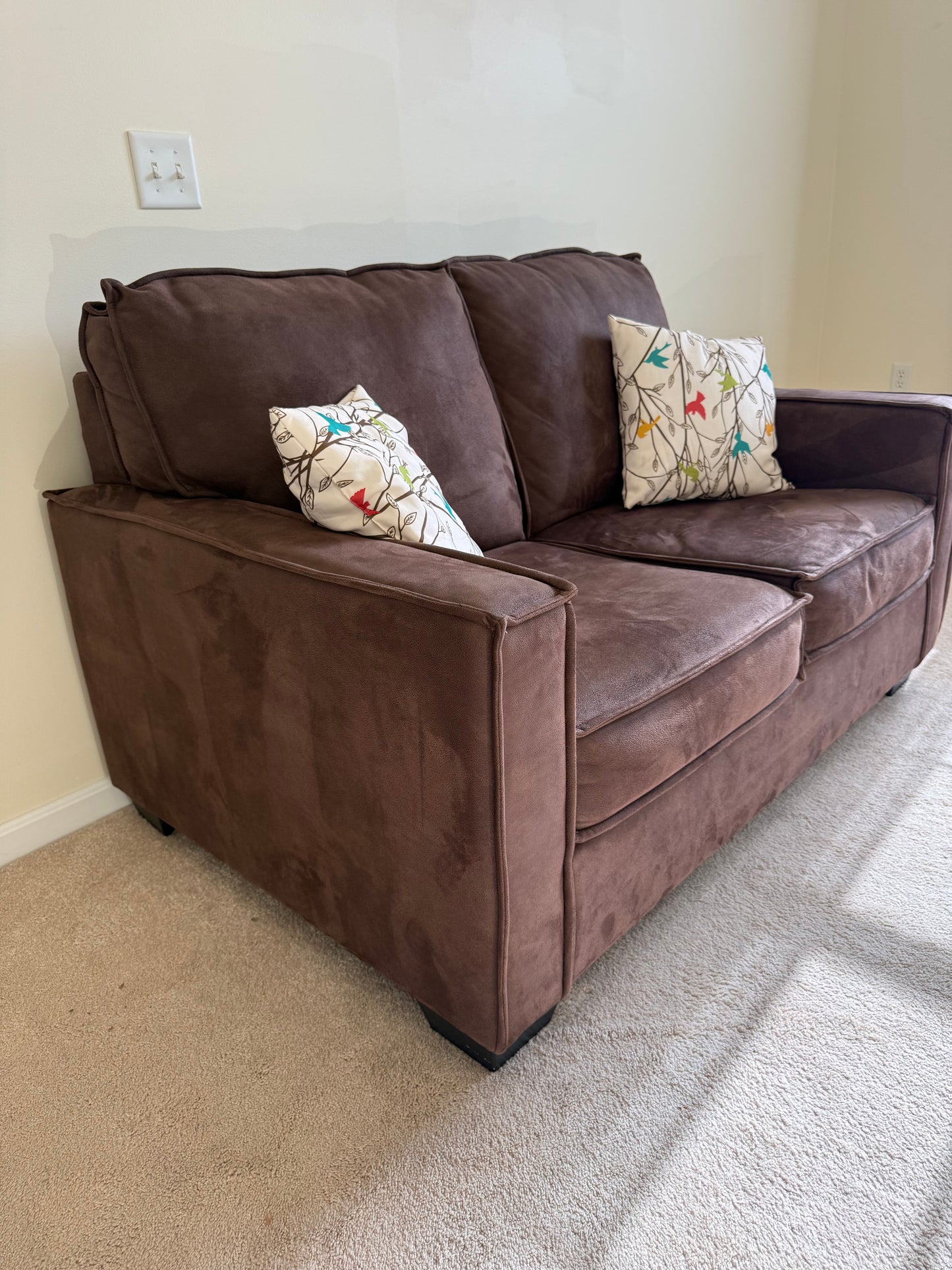 Loveseat & Pillows
