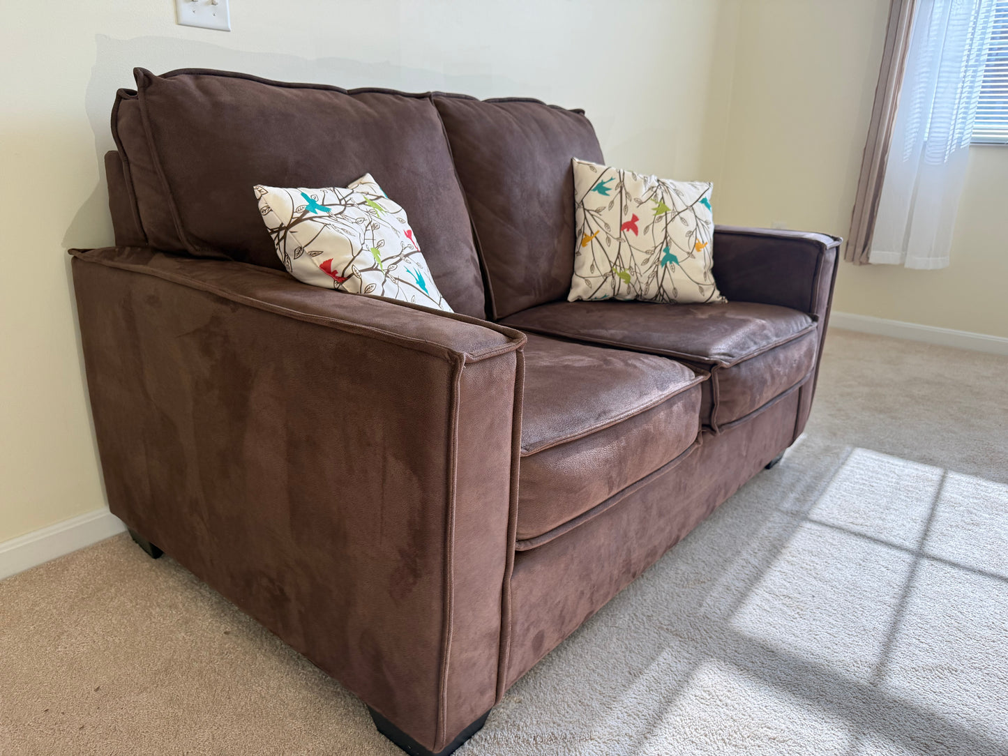 Loveseat & Pillows