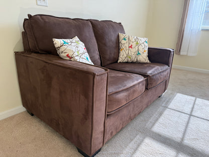 Loveseat & Pillows
