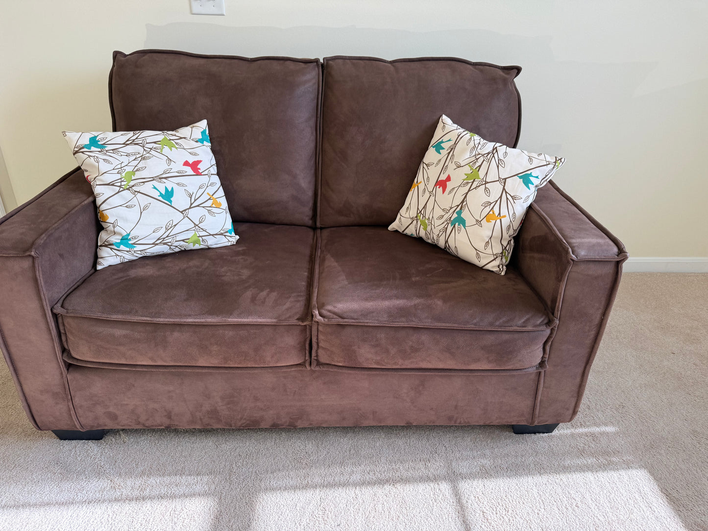 Loveseat & Pillows