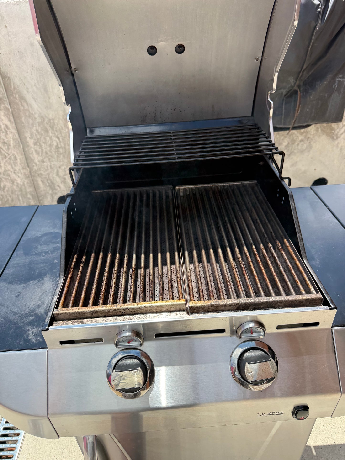 Gas Grill