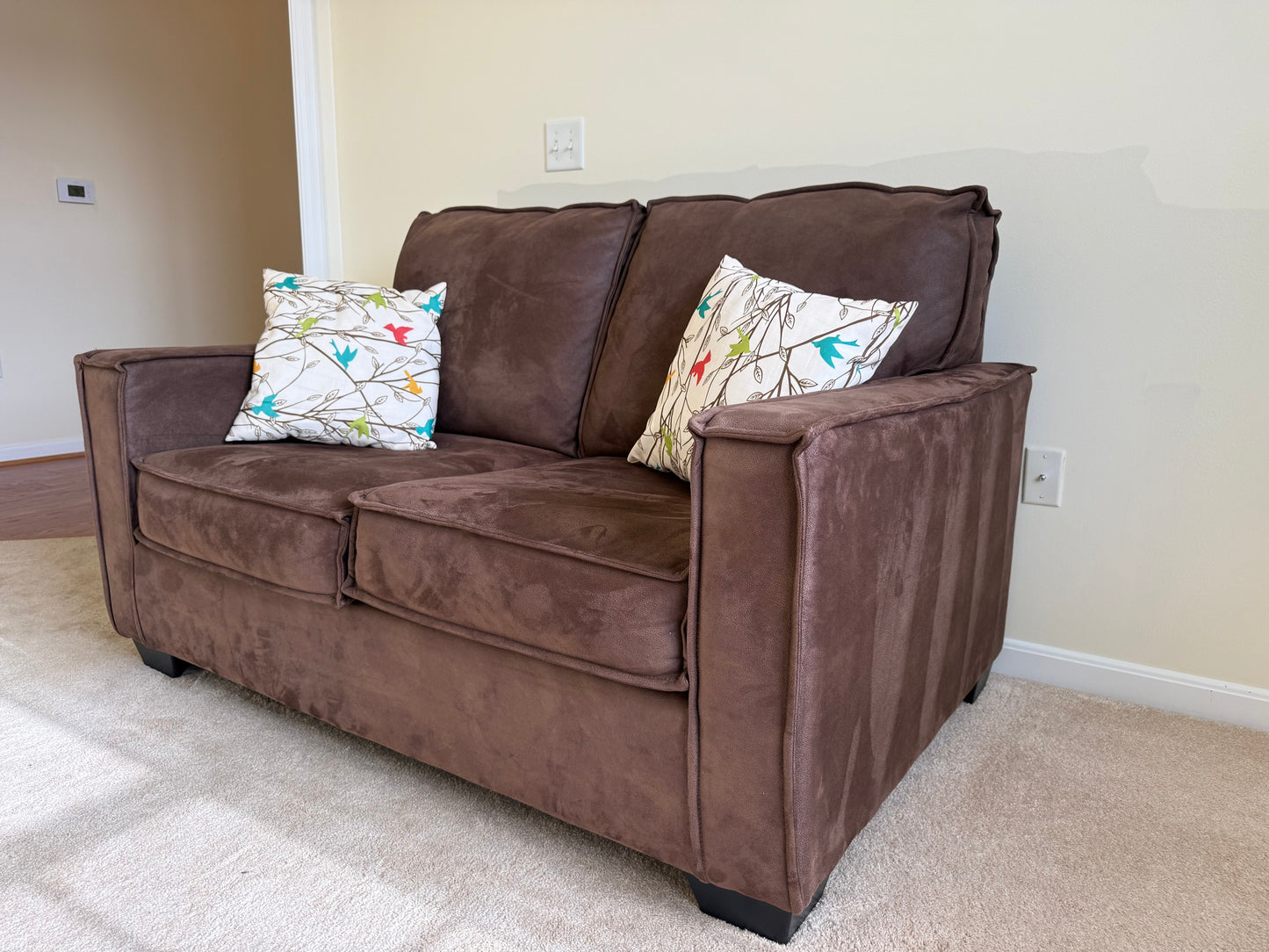 Loveseat & Pillows