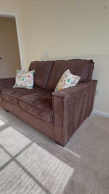 Loveseat & Pillows